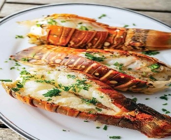 Grilled Lobster