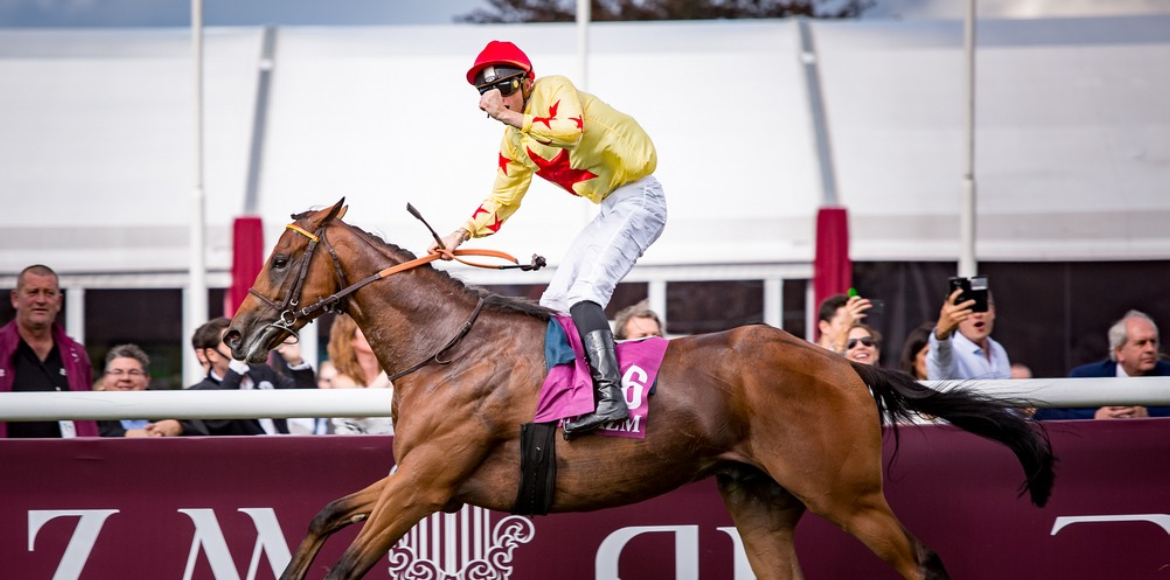 AlHazm official sponsor of Qatar Prix de l’arc de triomph france 2016