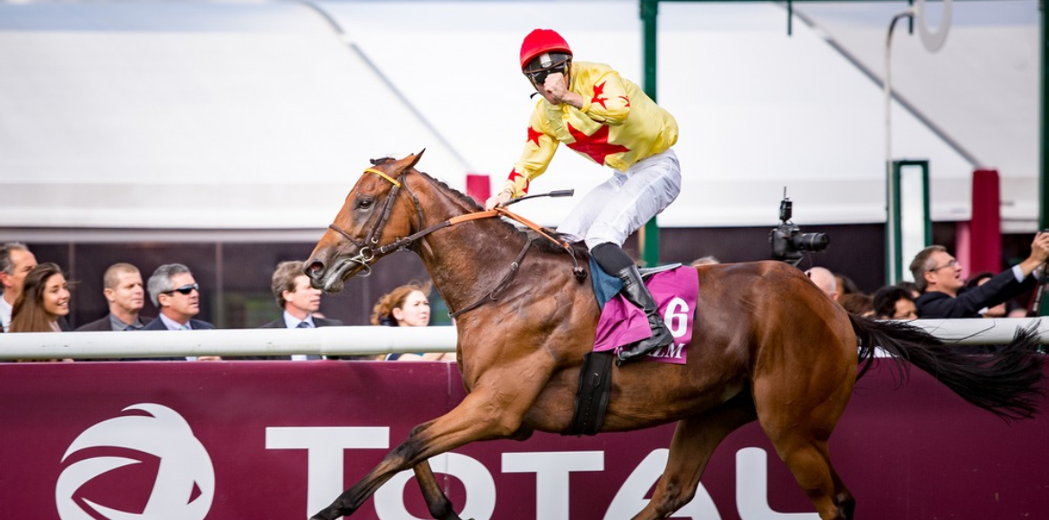 AlHazm official sponsor of Qatar Prix de l’arc de triomph france 2016