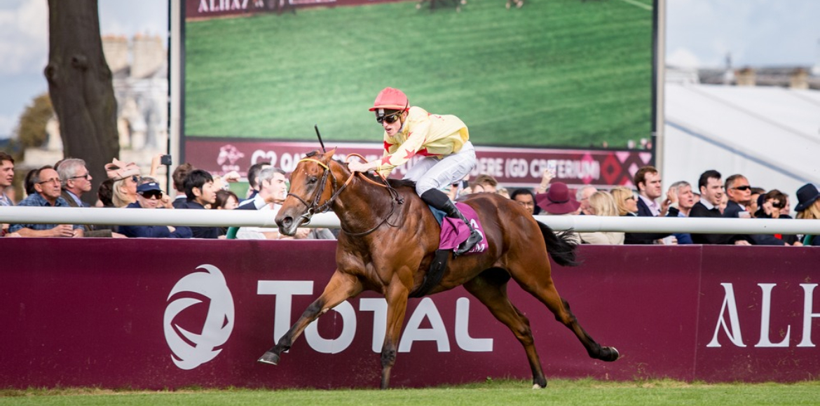 AlHazm official sponsor of Qatar Prix de l’arc de triomph france 2016