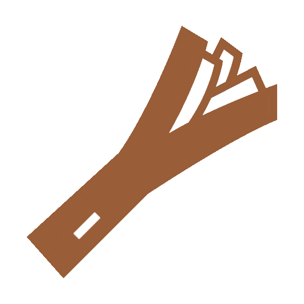 leek
