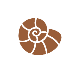 mollusks