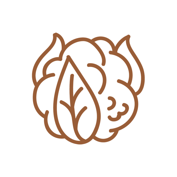 cauliflower